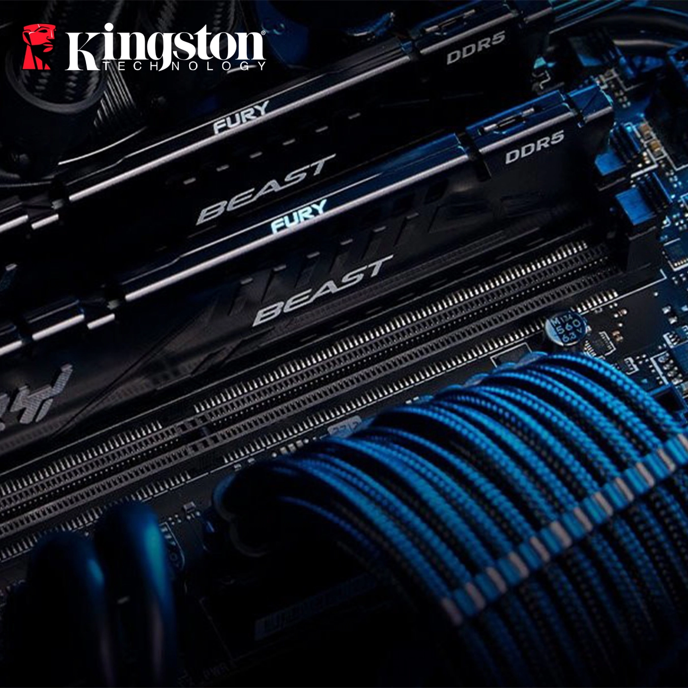 Купити Модуль пам'яті Kingston Fury Beast Black DDR5-5200 16Gb DIMM (KF552C40BB-16) - фото 4