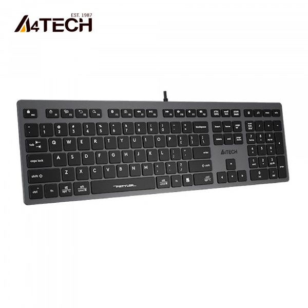 Купить Клавиатура A4Tech Fstyler FX-50 Grey USB - фото 2